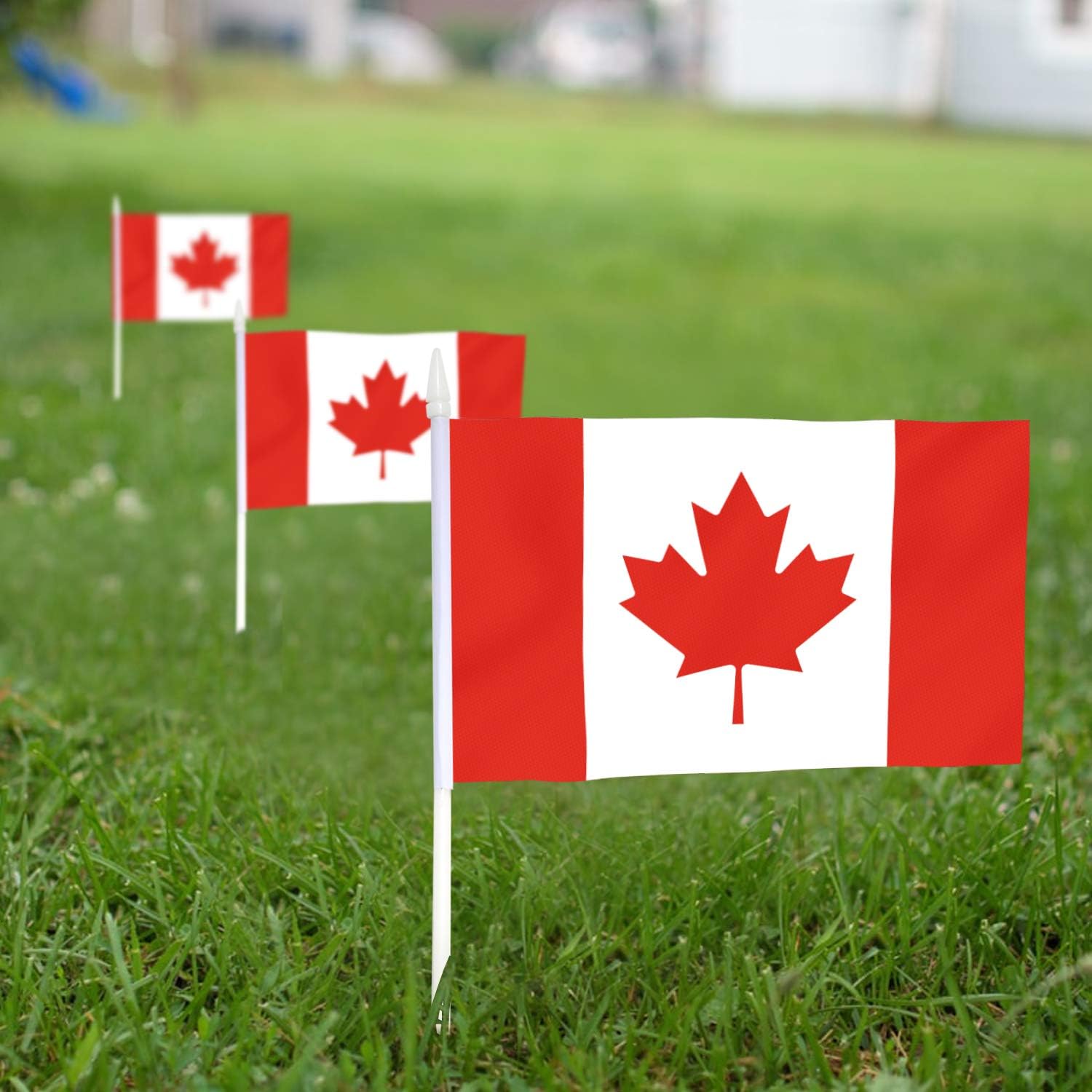 Canada Stick Flag, ANLEY Canadian 5x8 inch (12 X 20cm) HandHeld Mini Flag With 12" (30cm) White Solid Pole - Image 4