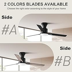 Obabala 60" Ceiling Fan with Remote, LED