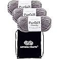 Premier Yarns Parfait Chunky Seal 1150-19 (3-Skeins - Same Dye Lot) Weight S Bulky #6 Polyester Yarn for Crocheting and Knitting with Project Bag