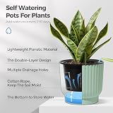 T4U Mini Self Watering Plant Pots Indoor 6 Pack 10cm Green Plastic Pots view 5