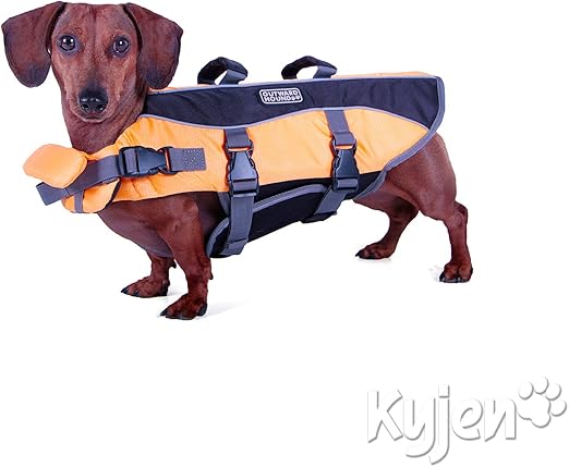 amazon outward hound