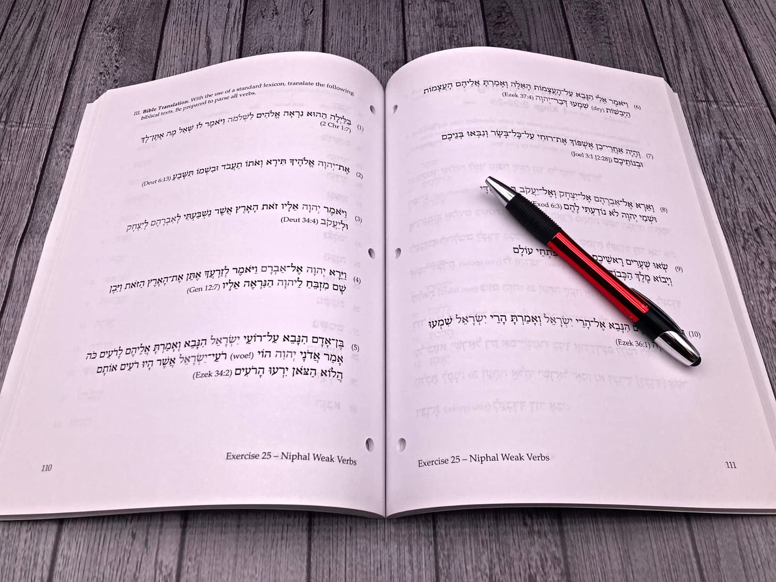 Basics of Biblical Hebrew Workbook: Third Edition (Zondervan Language Basics Series)