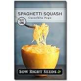 Sow Right Seeds - Spaghetti Squash Seed for Planting Vegetable Garden | Plant unique non-GMO heirloom winter variety for outdoor home vegetables gardening. Yellow vining veggie for growing outside.