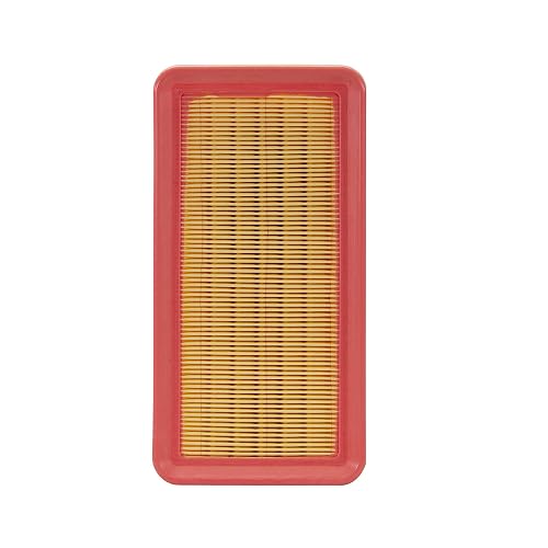 Ecogard XA5647 Premium Air Filter - Fits Hyundai Accent & Kia Rio (2006-2011)