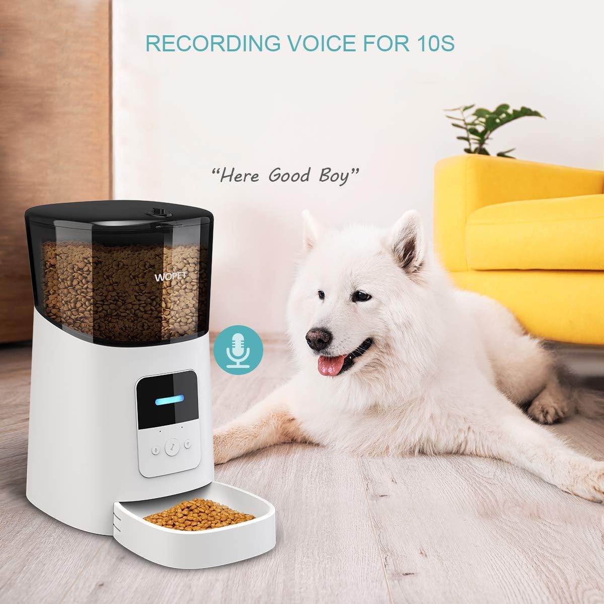 Pet Supplies : WOPET 6L Automatic Cat Feeder, Wi-Fi Enabled Smart Pet Feeder for Cats and Dogs, Auto Dog Food Dispenser with Portion Control, Distribution Alarms and Voice Recorder Up to 15 Meals per Day : 