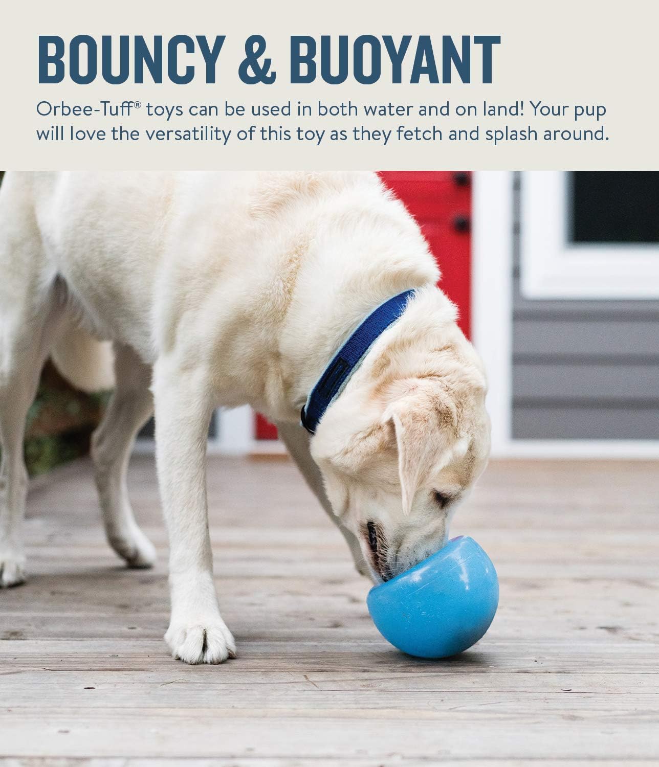 Outward Hound by Planet Dog Snoop Durable Interactive Treat Dispensing Dog Toy, Large, Blue, Blue Snoop - Image 5