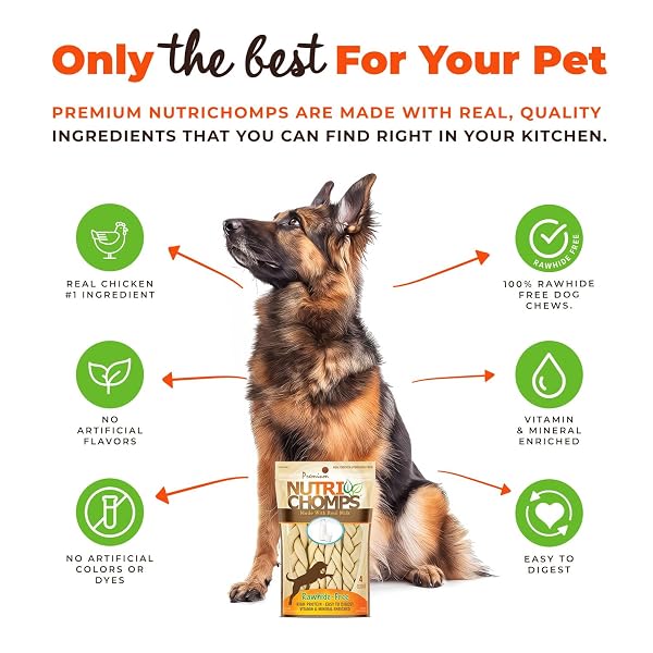 NUTRICHOMPS DOG CHEWS, 6-INCH BRAIDS, EASY TO DIGEST, RAWHIDE-FREE DOG TREATS, HEALTHY, REAL CHICKEN, PEANUT BUTTER AND MILK FLAVORS, PACK OF 4