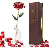 Yolife 24k Gold Dipped Real Rose Lasted Forever with Transparent Stand, Best for Her - for Valentine’s Day Mother’s Day Girlfriend Wife Birthday Wedding Flowers(Red)
