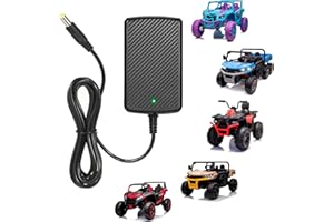 CAKULA 24V Battery Charger for Ride on Toys Car 24 Volt 1000mA Kids Battery Charger Compatible with UTV Jeep 4x4 Go-Kart ATV Tractor Truck Big Kids Electric Car Toys Charger