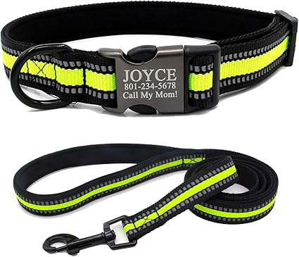 dog leash with name