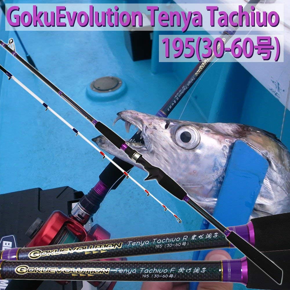 受注生産品 ロッド竿 Ff Tenya 掛け調子 Goku 9513ff Fba 180 Gokuevolution Tachiuo B07pxw7vn5 素敵でユニークな Www Winchesterprinters Com