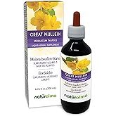 Naturalma Great Mullein or Common Mullein (Verbascum thapsus) Flower and Leaf Alcohol-Free Tincture - 6.76 fl oz Liquid Extract in Drops - Herbal Supplement - Vegan