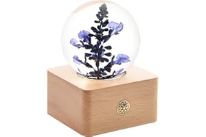 MISS LI GARDEN Forever Flowers Lavender in 3D Crystal Ball with LED Lights,Elegant Present for Girlfriend Wife Mom Women Enchanted Birthday Anniversary Wedding Home Décor