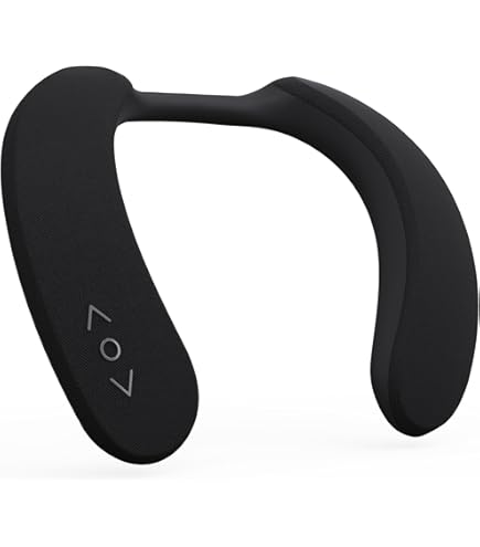 Amazon.com: Panasonic SC-NT10-D TOUGH BlueTooth Portable Wireless