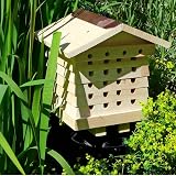 Wildlife World Solitary Bee Hive with Cleaning Brush view 4