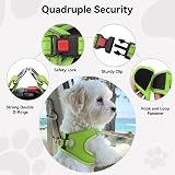 Joytale Step in Dog Harness Soft Mesh Reflective Easy Walk M Green view 6