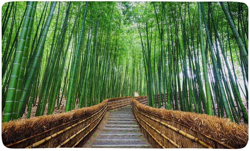 Camino al bosque de bambú, Arashiyama, Kioto, Japón Tapete de puerta