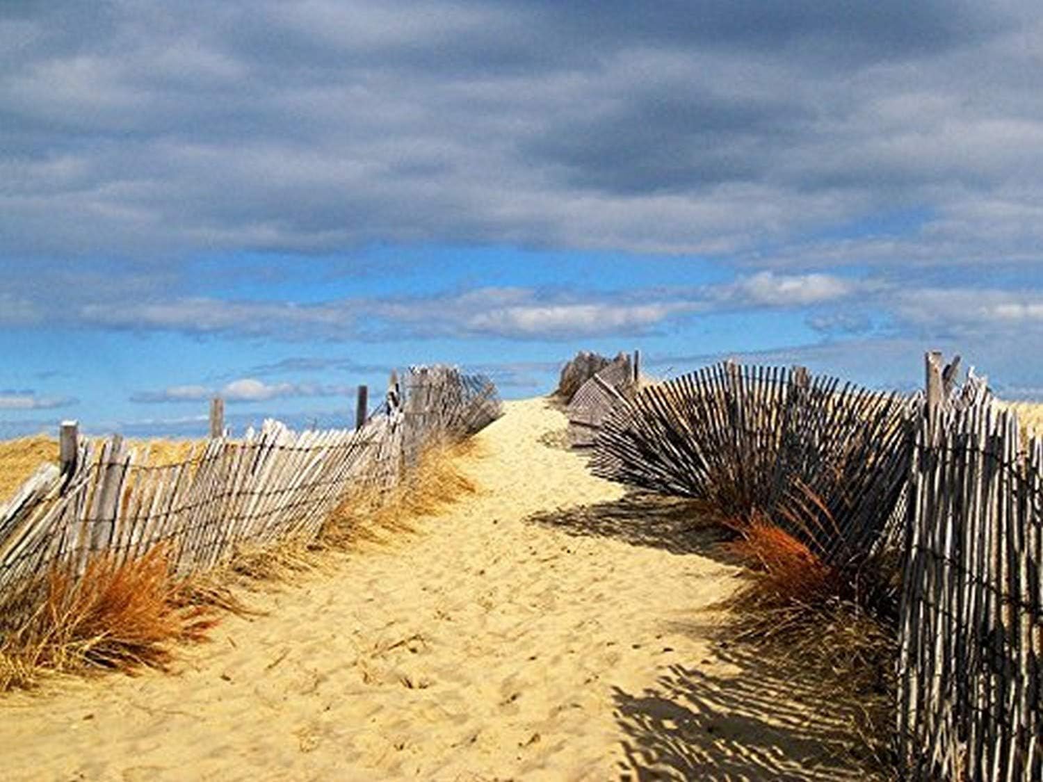 Buyartforless Path to The Outer Beach 16x12 Art Print Poster Photography by Joseph Condon