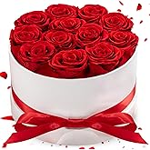Preserved Roses in a Box, Blooming Real Roses Decor, Eternal Flowers for Delivery Prime, Best Gifts Birthday, Wedding, Anniversary, Mother's Day for Her, 12-Pieces (Red)