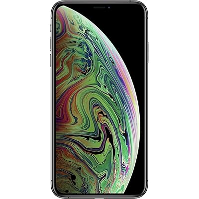 Space Gray Amazon Xs Max Apple IPhone Xs Max 256GB Space Gray