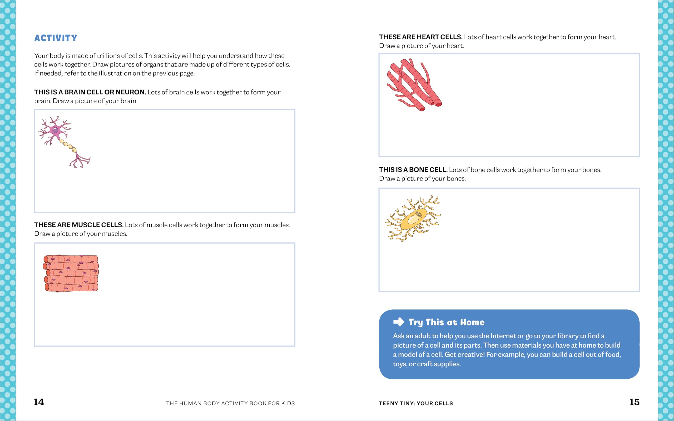 Human Body Activity Book for Kids: Hands-On Fun for Grades K-3 Human Body Activity Book for Kids: Hands-On Fun for Grades K-3 Paperback Spiral-bound