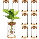 Baderke 9 Packs Propagation Vases for Plants Plastic Plant Propagation Station with Hole Lid and Bamboo Stand Growing in Water Hydroponic Home Office Table Decoration(Classic Style)