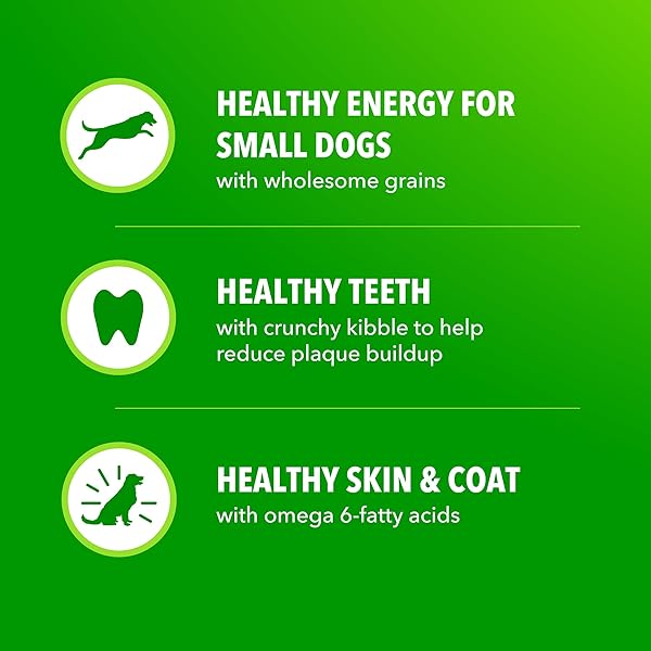 IAMS PROACTIVE HEALTH SMALL BREED ADULT DRY DOG FOOD CHICKEN & WHOLE GRAIN RECIPE, 7 LB. BAG