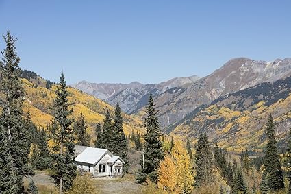Amazon Com 24 X 36 Giclee Print Of Abandoned Cabin Near The Old