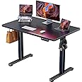 ErGear Height Adjustable Electric Standing Desk, 40 x 24 Inches Sit Stand up Desk, Small Memory Computer Home Office Desk (Black)