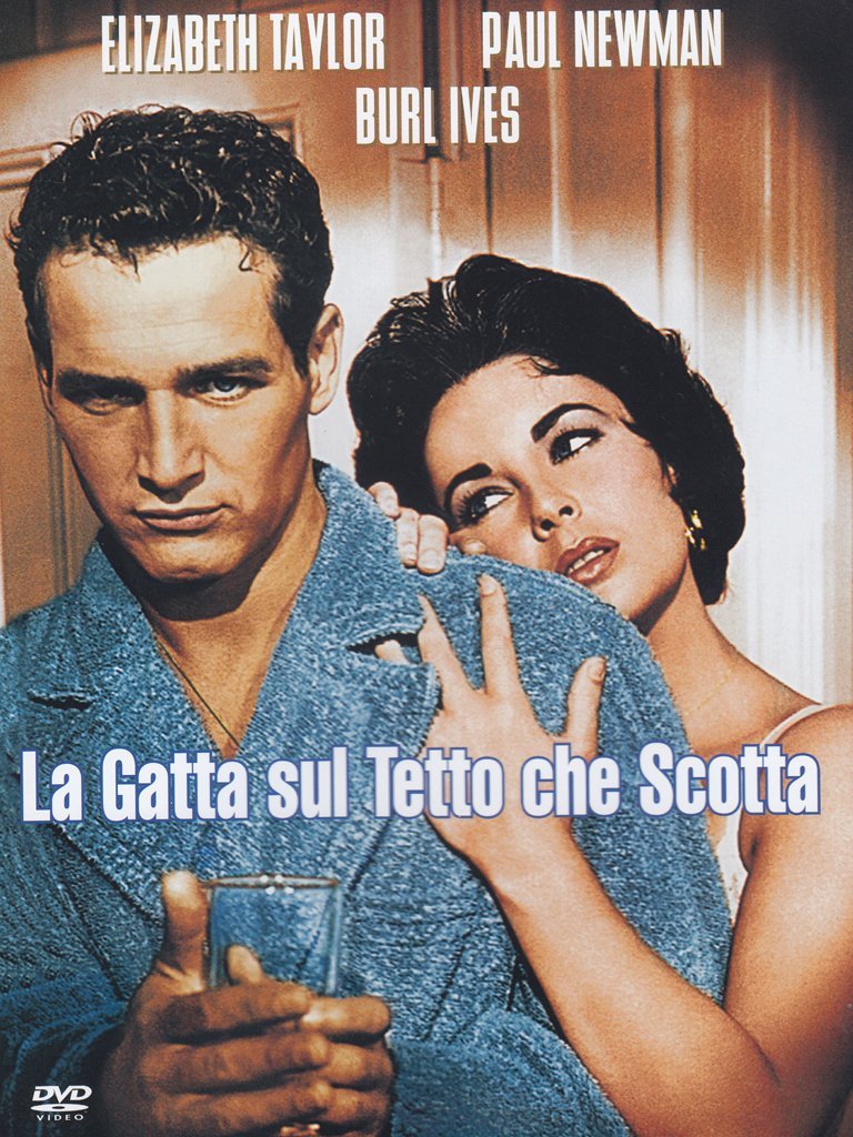La Gatta Sul Tetto Che Scotta Cast