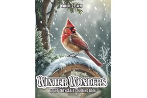 Winter Wonders Greyscale Adult Coloring Book: Snowy Scenes, Peaceful & Cozy Moments and the Beauty of Nature in Winter | Hour