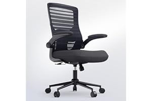 QLTPLUS Office Desk Chair for Long Hours & Lower Back Pain Relief – 4“ Thick Molded Foam Cushion, Enhanced Lumbar Support, Pa