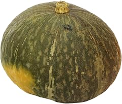 Kabocha Squash, Organic, 1 Large Squash (United States or Mexico)