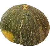 Kabocha Squash, Organic, 1 Large Squash (United States or Mexico)
