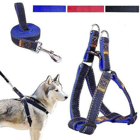 Länge Hund Leine Geschirr, verstellbar und Heavy Duty Denim Hund Leine Halsband für Training Walking Running, Rescue verhinde