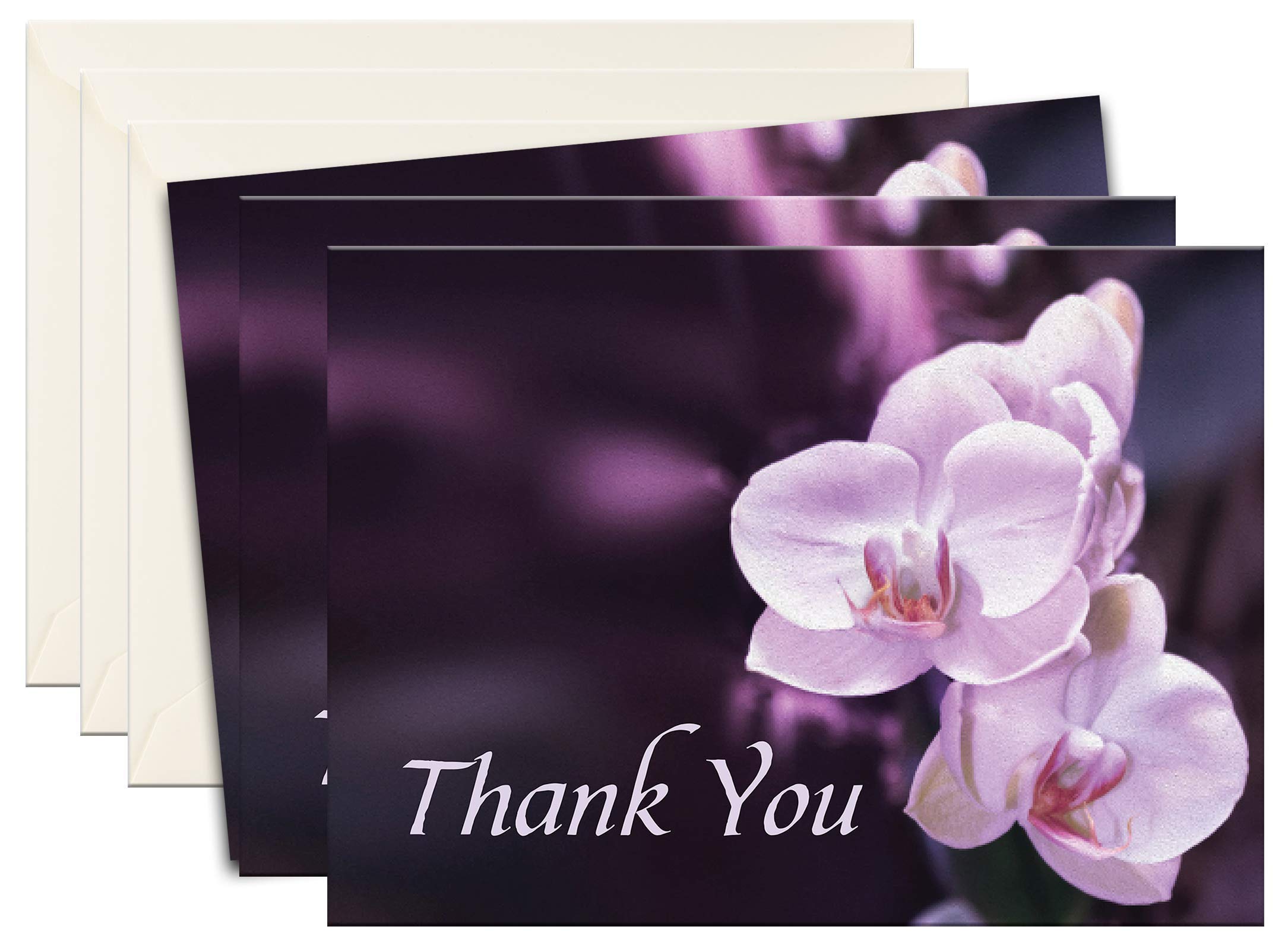 MPC Brands Funeral Thank You Cards - Sympathy Bereavement Thank You Cards With Envelopes - Message Inside (50, Purple Orchid)