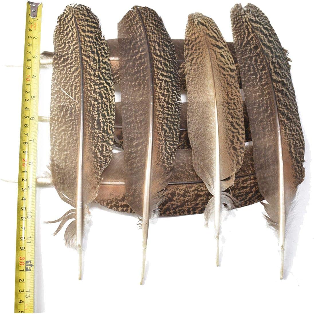 Various Natural Eagle Feathers 10 Pcs 15 40cm Eagle Bird Feathers for