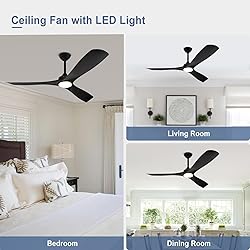 BvenuBigLite Black Ceiling Fan with Light: 3 Blades