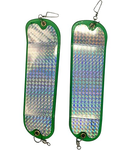 Amazon.com : Pro-Troll Fishing Products HotChip 11 Flasher with