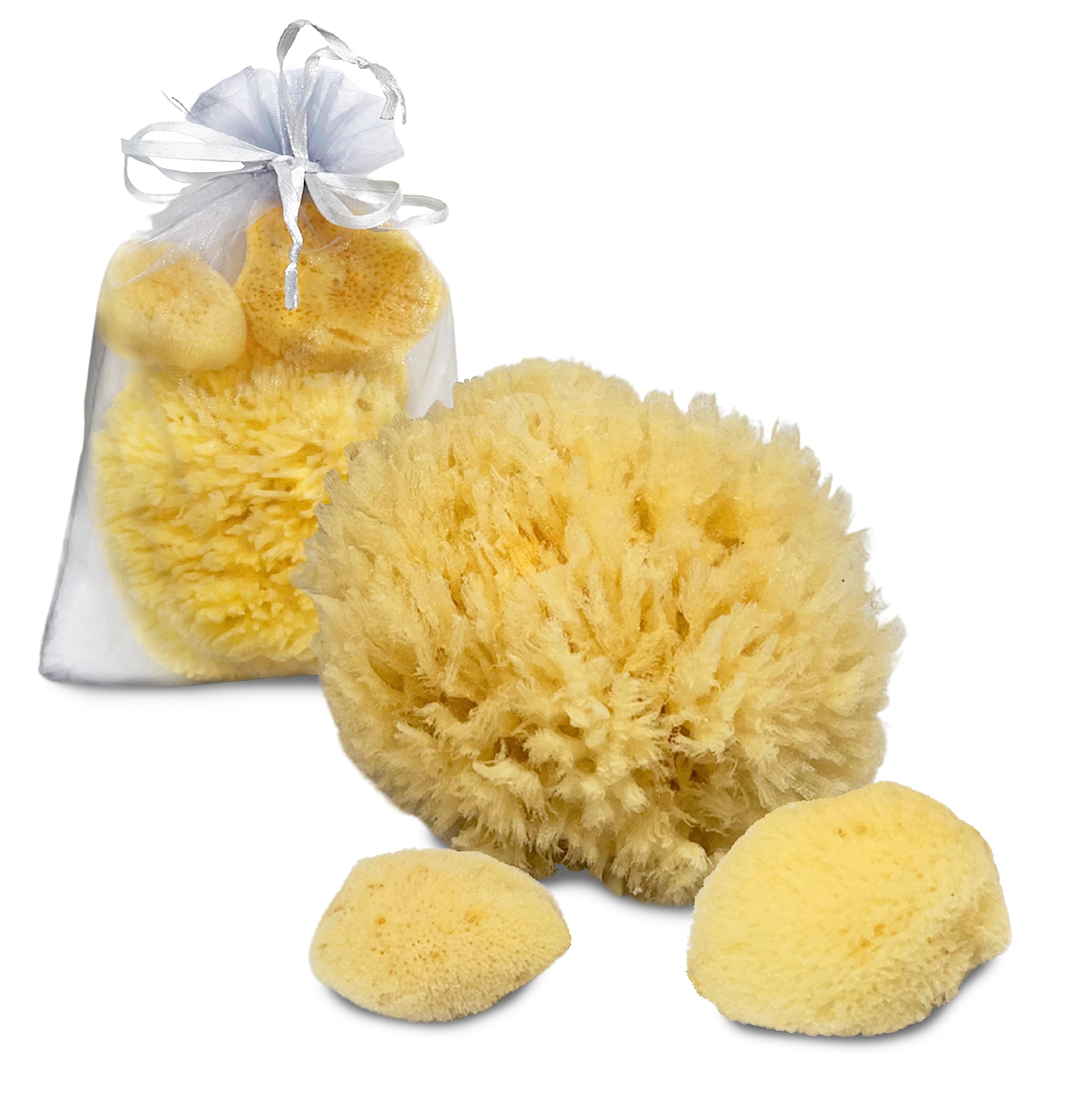 Constantia Pets Sea Sponges for Dogs - Luxury Canine Bath Care, for Pet Grooming, Soft & Gentle Pampering