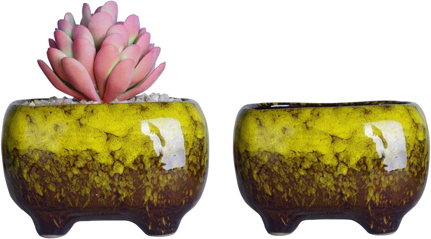 ARTKETTY Succulent Plant Pots - 12 CM Ceramic Cactus Plant Pots with Drainage Hole Small Flower Plant Pots for Indoor/Outdoor Pack of 5 - Image 5