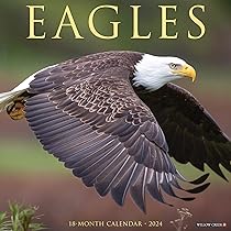 Amazon.com: Willow Creek Press Eagles Monthly 2024 Wall Calendar (12 amazon-com-willow-creek-press-eagles-monthly-2024-wall-calendar-12-x-12-9781549233418-willow-creek-press-books