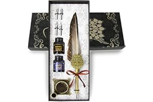 TIANREN Feather Pen and Ink Set,quill pen ink set,Antique Calligraphy Pen with 4 Replaceable Nibs,2 Bottle of ink,Pen Holder Christmas Gift for Men&Women.(Gray)