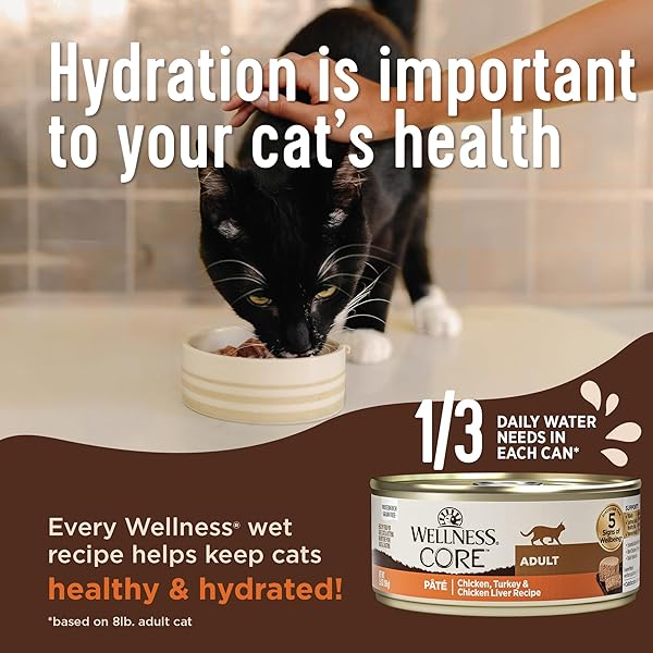 WELLNESS CORE PATE ADULT WET CAT FOOD, NATURAL, PROTEIN-RICH, GRAIN FREE, 3 OUNCE, 12 PACK (CHICKEN, TURKEY & CHICKEN LIVER)