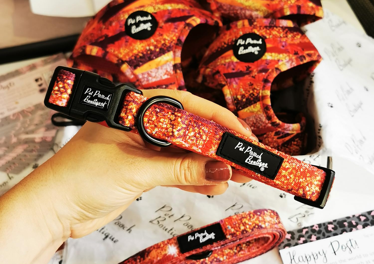 Tango Glitter Dog Collar XS