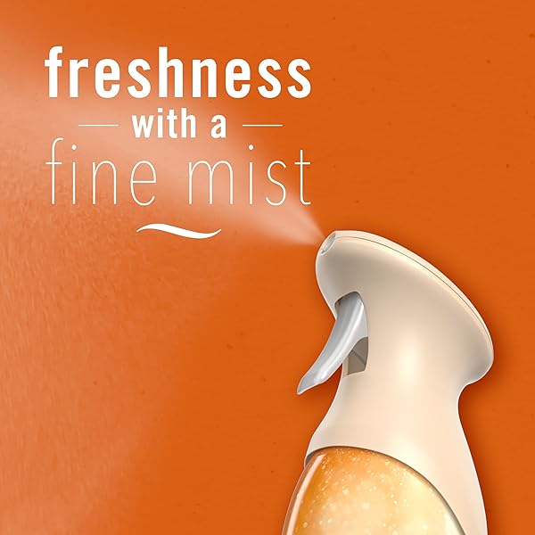 FEBREZE AIR MIST AIR FRESHENER SPRAY, ODOR-FIGHTING ROOM SPRAY, AIR FRESHENERS FOR HOME AND BATHROOM AND KITCHEN, AEROSOL CAN, CRISP FALL BREEZE SCENT, 8.8OZ, 1 COUNT
