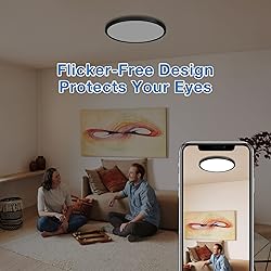 CycevSun 12 Inch Black Flush Mount Ceiling