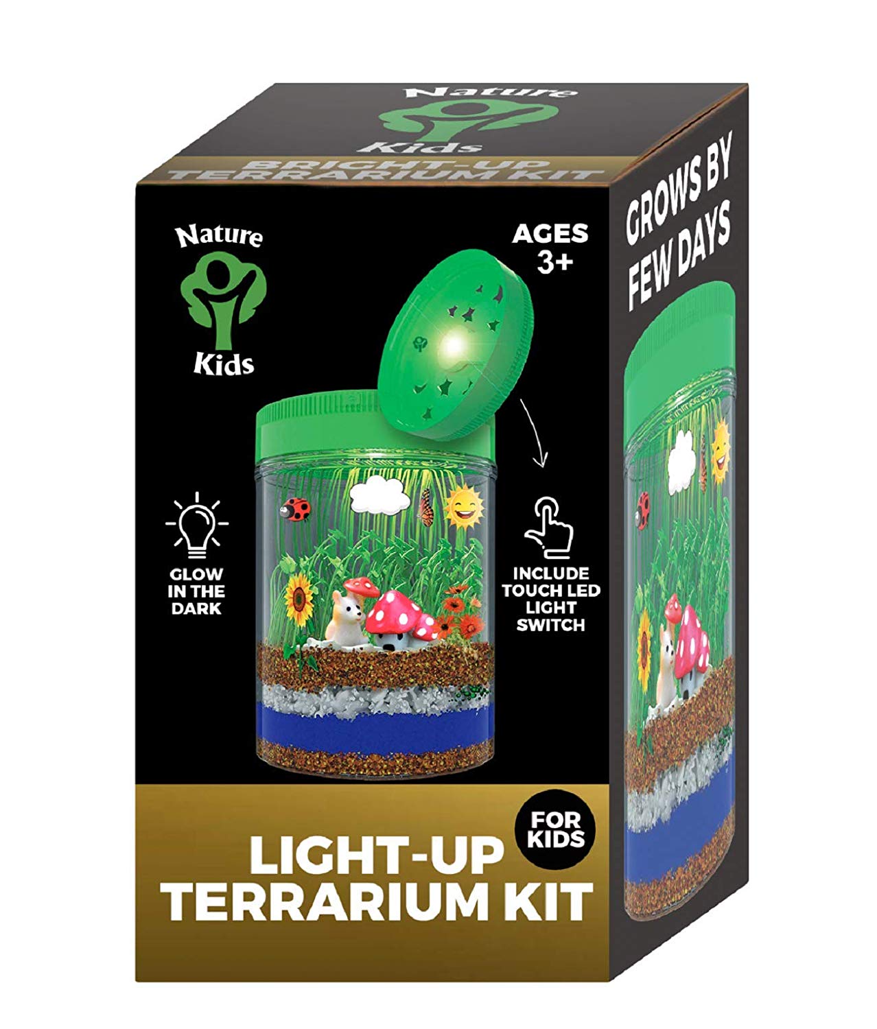 6 Terrarium+Customized+Educational+Birthday+Children