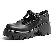 DREAM PAIRS Women's T-Strap Mary Jane Shoes Low Platform Chunky Block Heels Closed Toe Work Pumps Comfortable Round Toe Dress Wedding Party Shoes