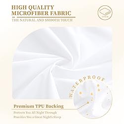 Safe and Sound Queen Mattress Protector, Premium